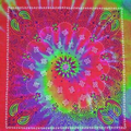 Tie Dye Classic Paisley Bandanna